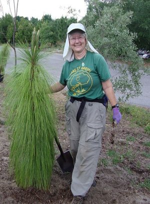 Photo Board of Director Member Jackie Rolly Planting Pine Tree